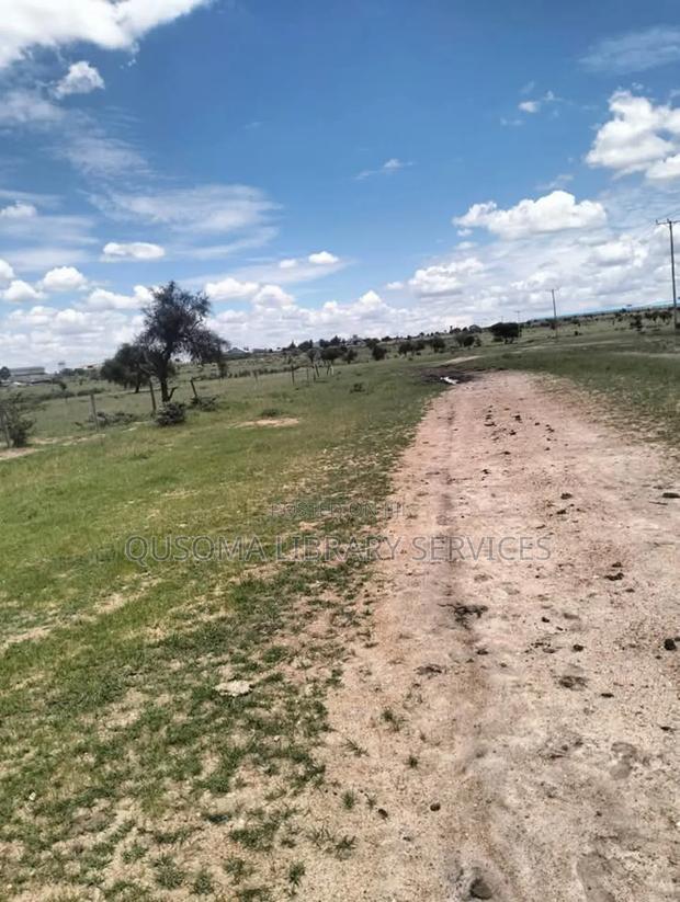 8 Half Isinya Enkirigiri Overlooking the Tarmac - thumbnail 7