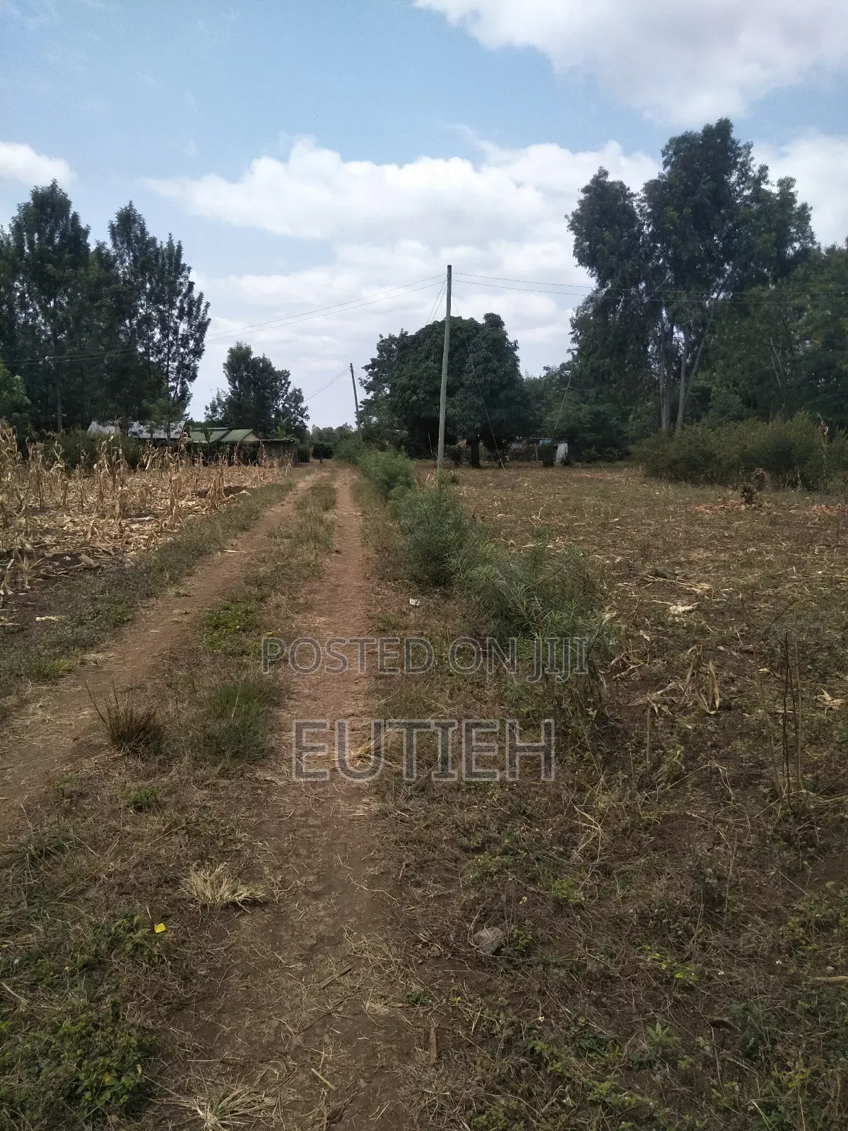 Prime 1/4 Acre Sale ,Btw Makutano Sagana,600mtrs 4rm Dual Hgwy