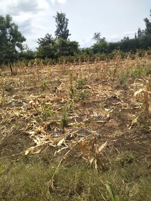 Prime 1/4 Acre Sale ,Btw Makutano Sagana,600mtrs 4rm Dual Hgwy