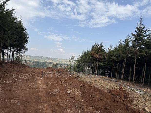 Most Affordable Plots in Kikuyu - thumbnail 3