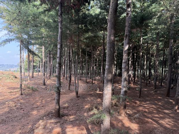 Most Affordable Plots in Kikuyu - main view