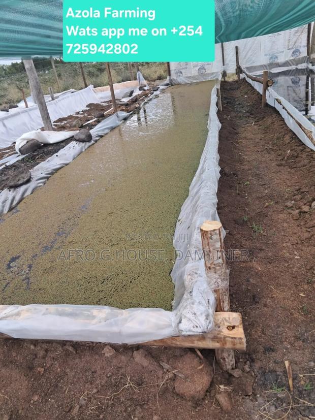 Greenhouse Polythene - thumbnail 5