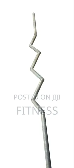 Gym Dumbbells Weights Benches And Bars