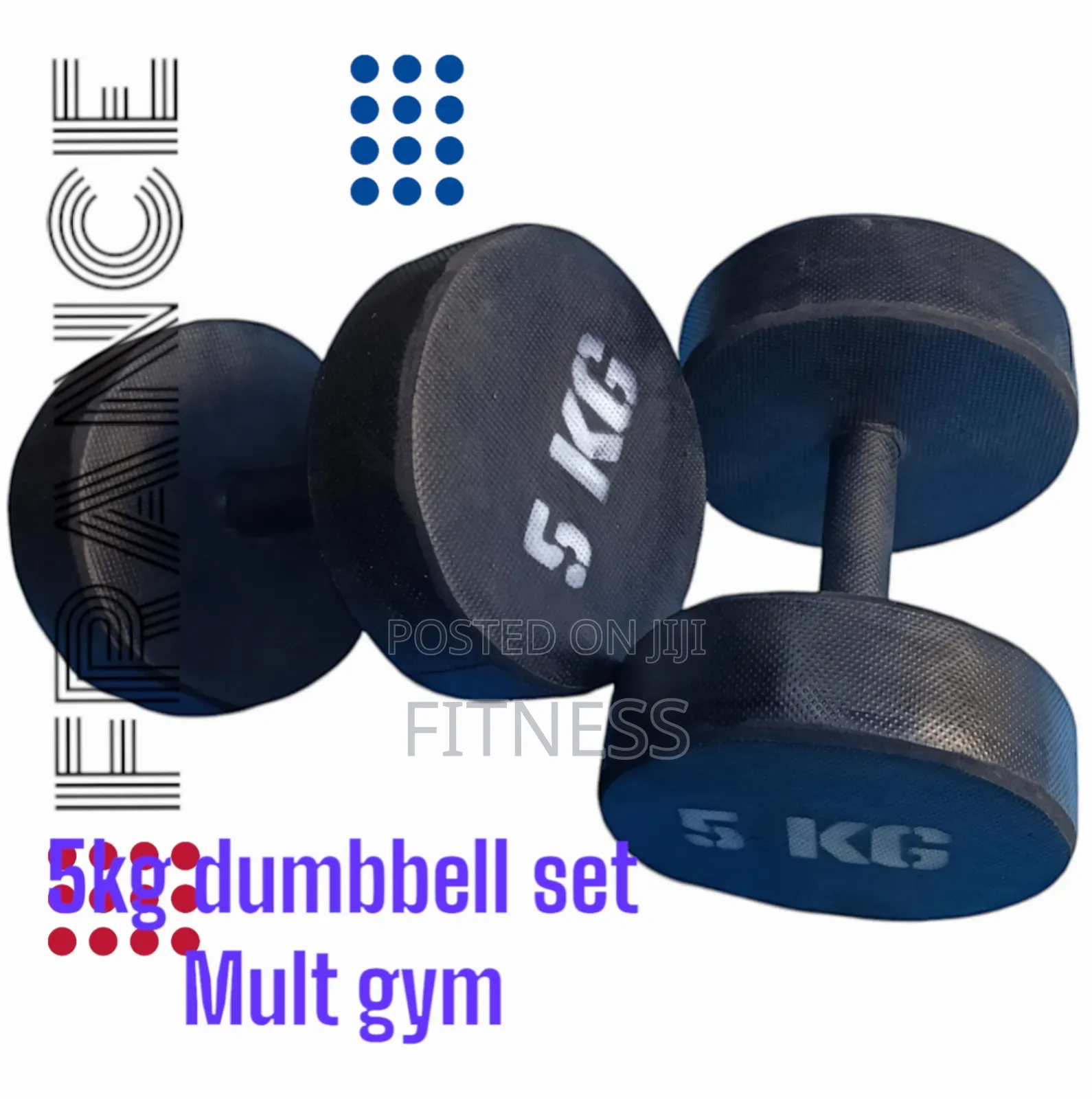 Gym Dumbbells Weights Benches And Bars