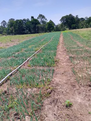 100 Acres in Narumoru