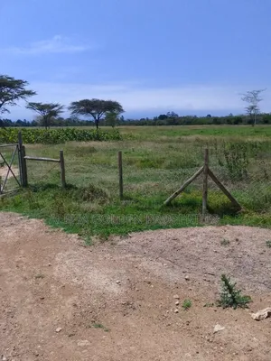 100 Acres in Narumoru