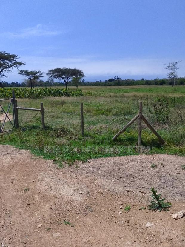 100 Acres in Narumoru - thumbnail 2
