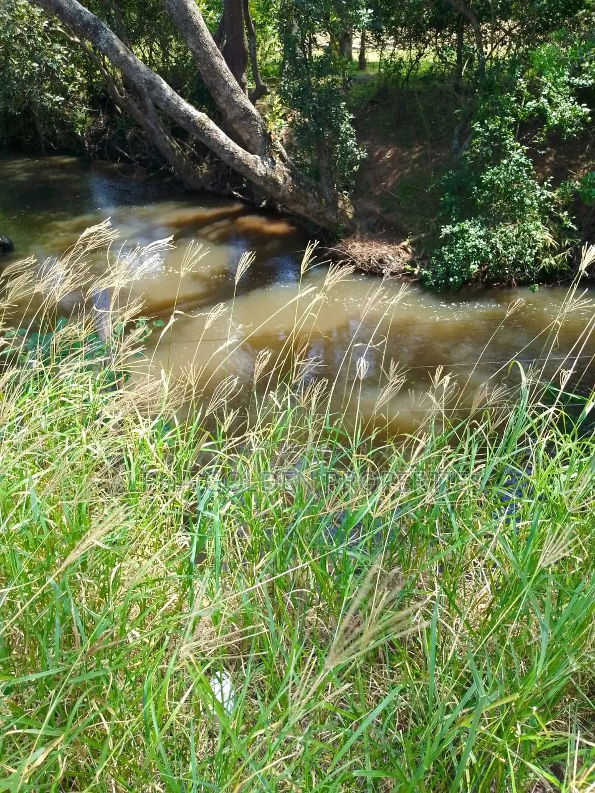 100 Acres in Narumoru