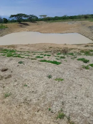 100 Acres in Narumoru