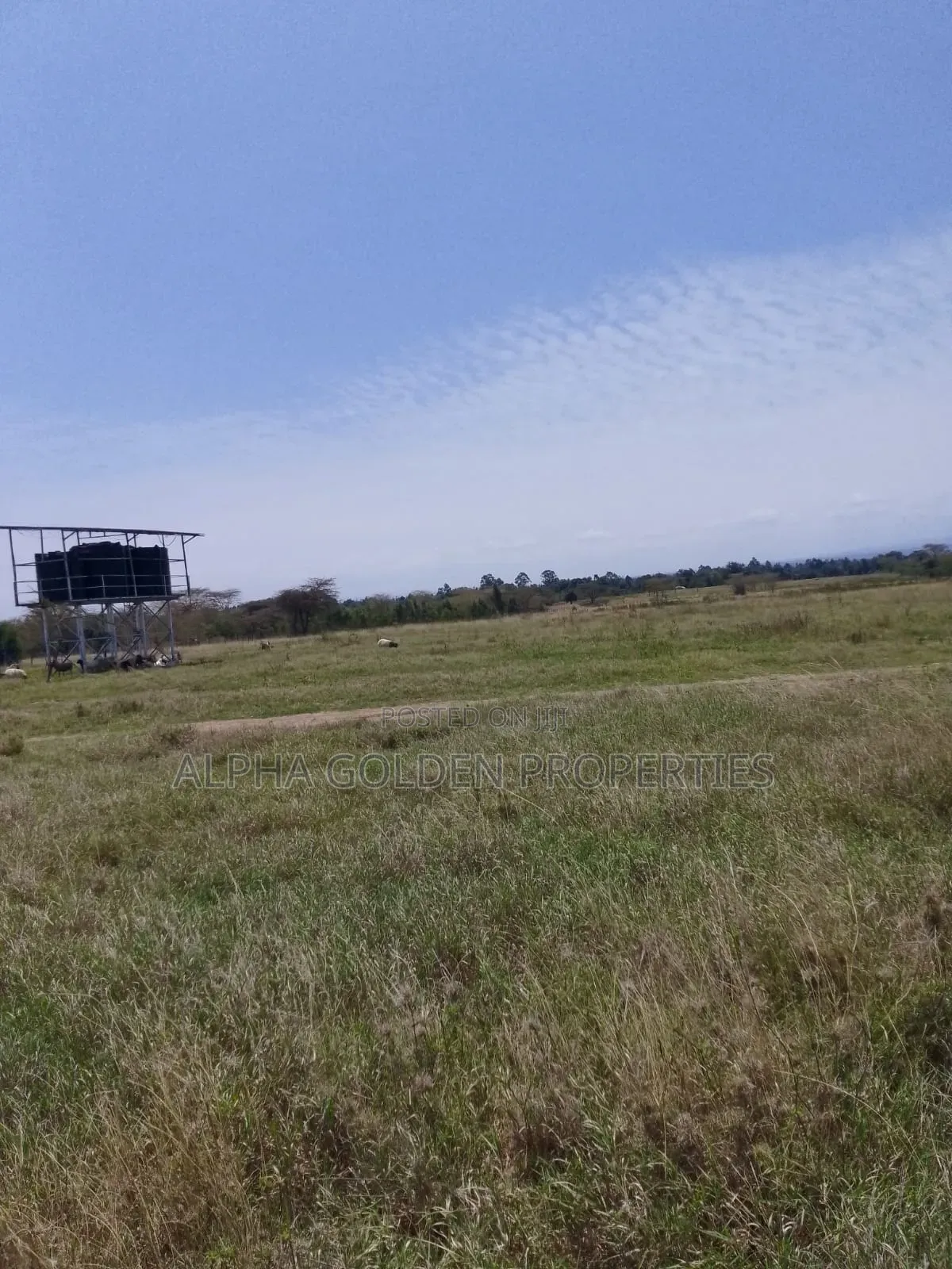 100 Acres in Narumoru