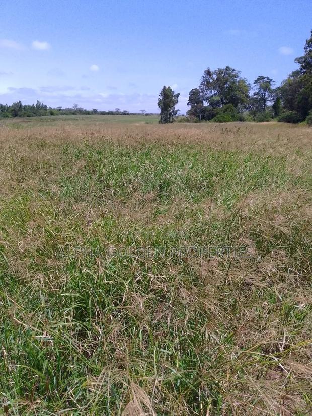 100 Acres in Narumoru - thumbnail 6