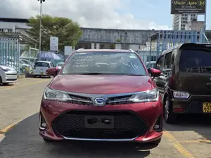 Toyota Corolla Fielder 2018 Red