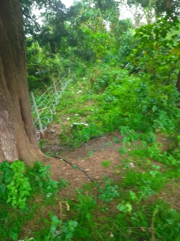 1 Acre in Muthaiga Nanyuki - thumbnail 2