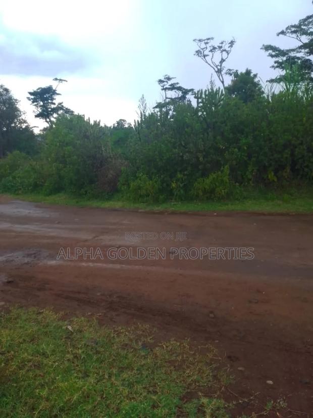 1 Acre in Muthaiga Nanyuki - thumbnail 3