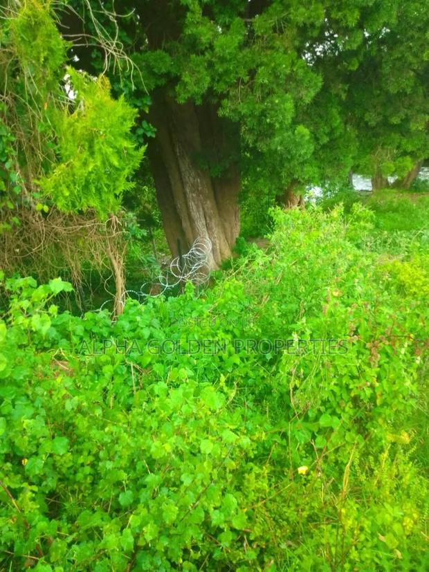 1 Acre in Muthaiga Nanyuki - thumbnail 5