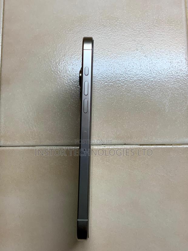 Apple iPhone 16 Pro Max 256 GB Gray - thumbnail 6