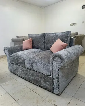 2 Seater Gray Modernized Sofas