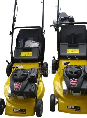 Wasp Australia Brand 4hp Lawn Mower
