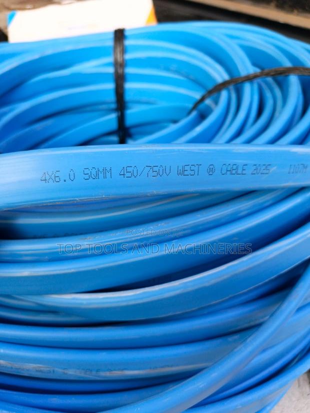 6.0mm 4 Core Submersible Cable East Africa Cable(Price Per Meter)
