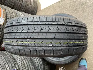 225/55r19 Centara Tires