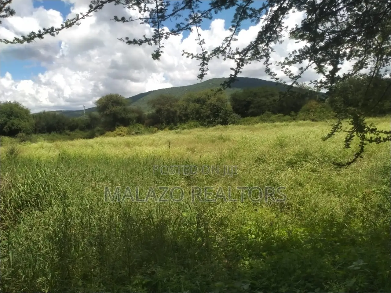 10 Acres for Sale in Salama