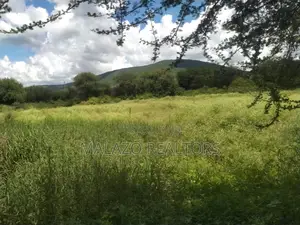 10 Acres for Sale in Salama