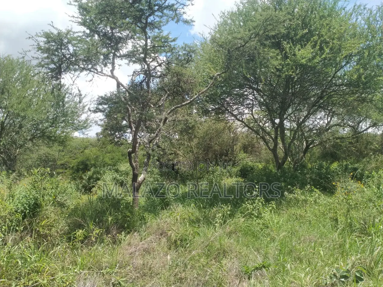 10 Acres for Sale in Salama