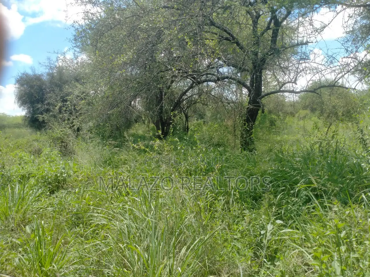 10 Acres for Sale in Salama