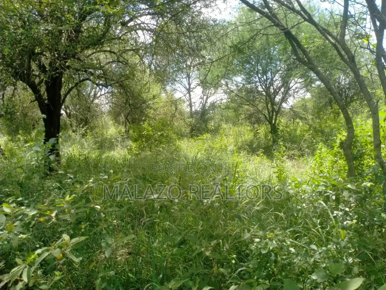 10 Acres for Sale in Salama