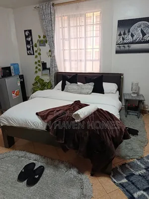 Furnished Studio Apartment in Roysambu,Trmdrive, Affordable Modern