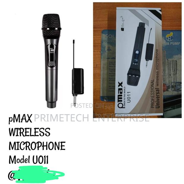 Pmax Wireless Microphone - main view