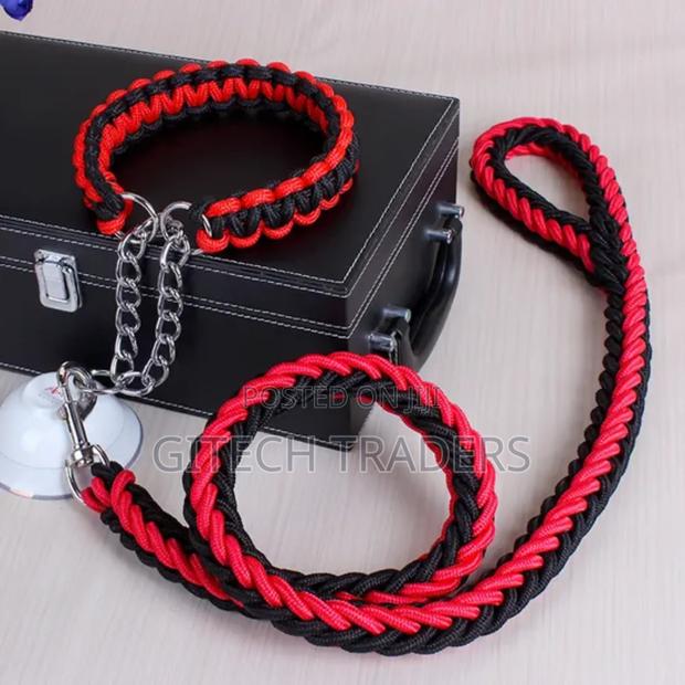 Dog Leash Big Size