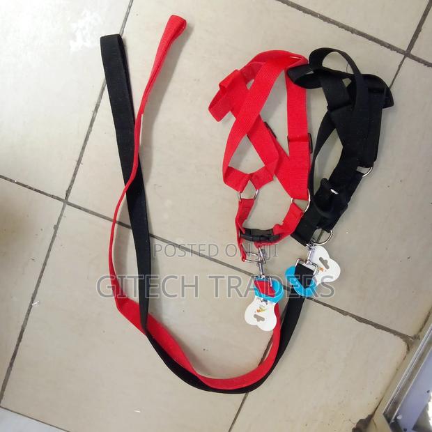 Big Size Dog Leash