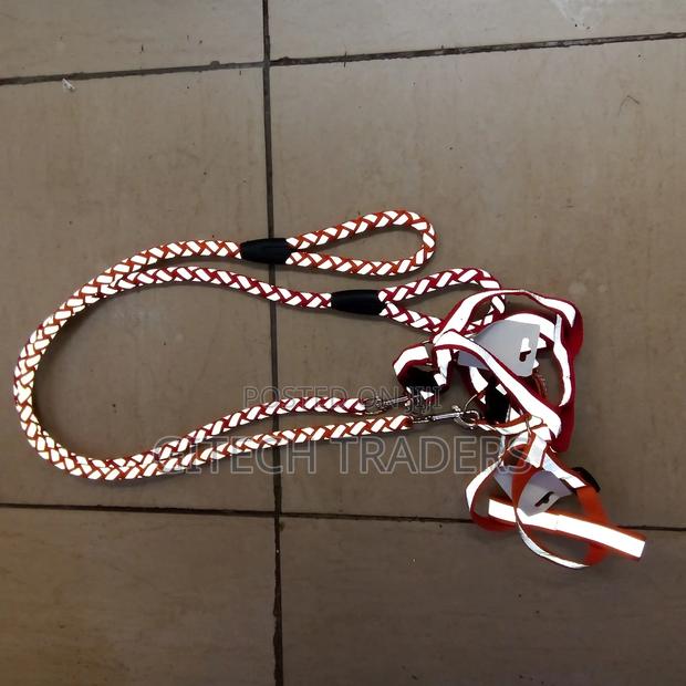 Middium Size Dog Leash