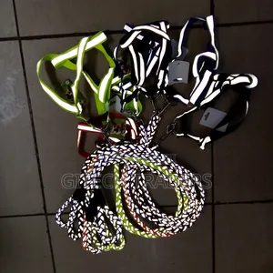 Dog Leash Medium Size