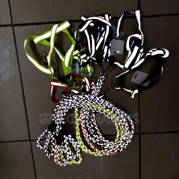 Dog Leash Medium Size