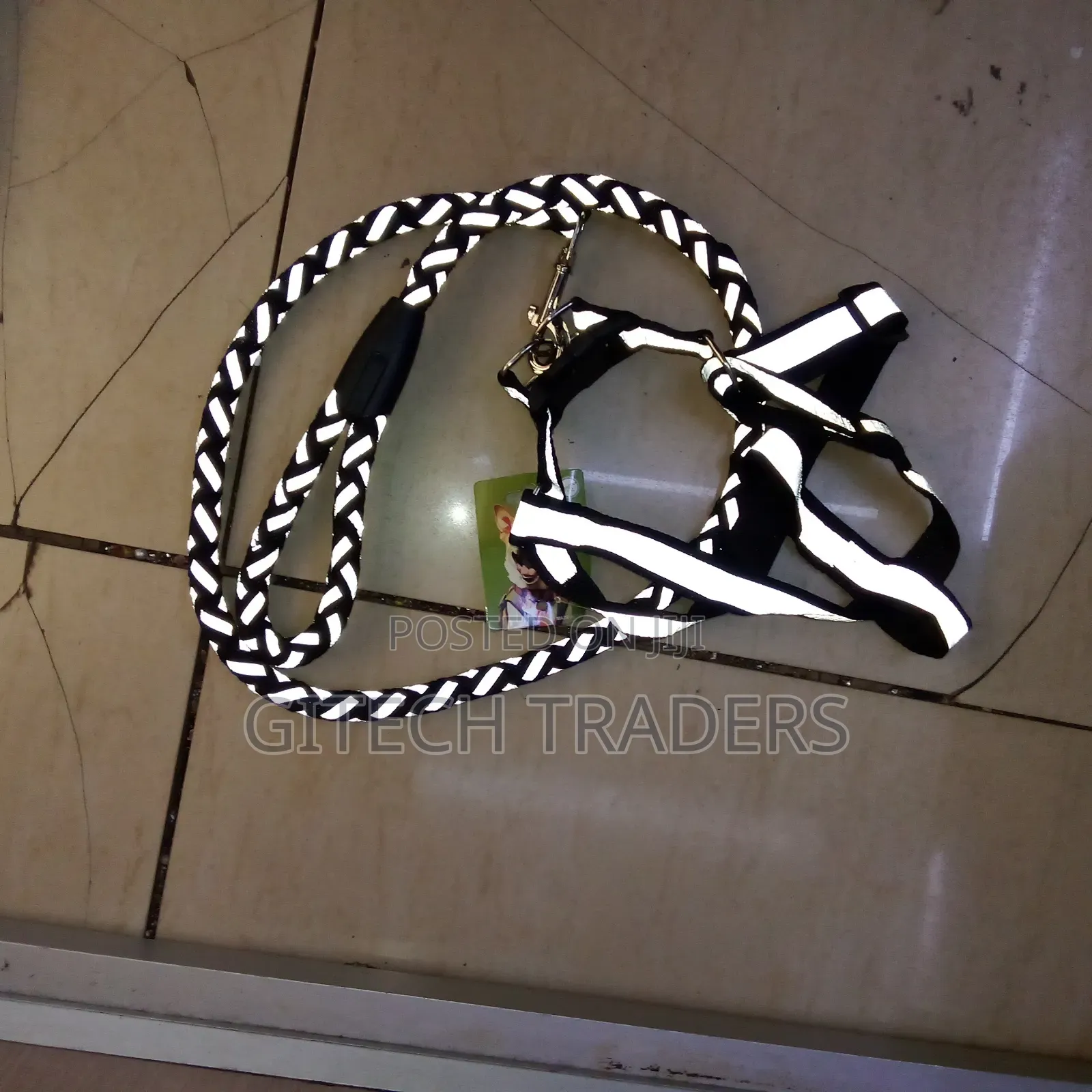Leashes for Medium Dogs