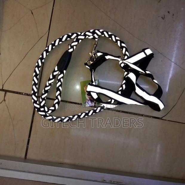 Leashes for Medium Dogs