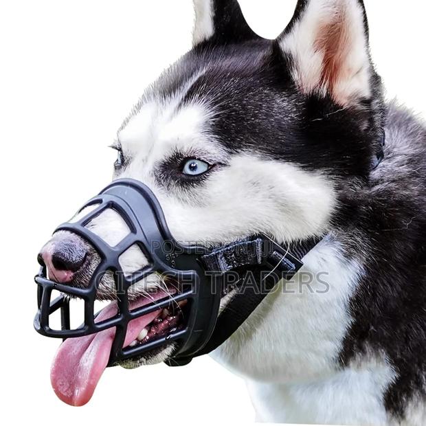 Dog Muzzle