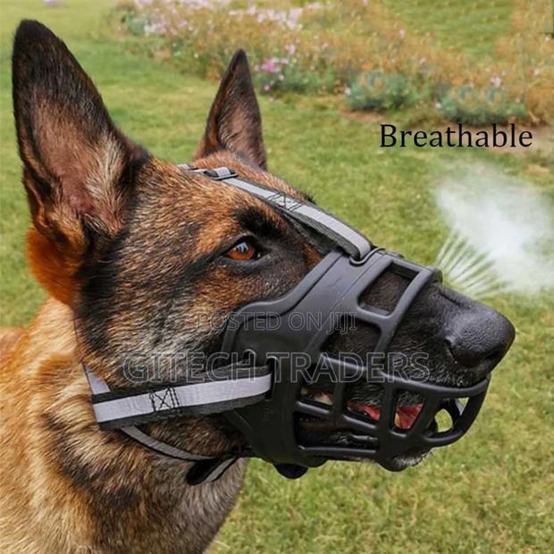 Dog Muzzle