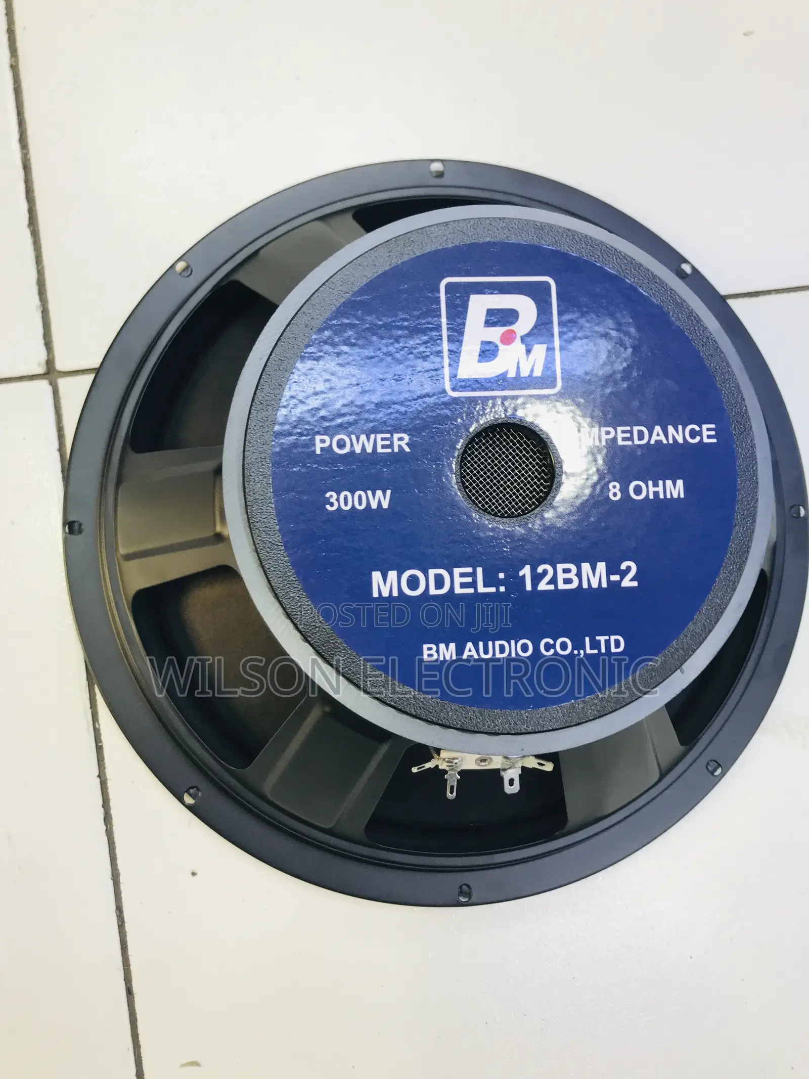 Bm Speaker 12 Inches