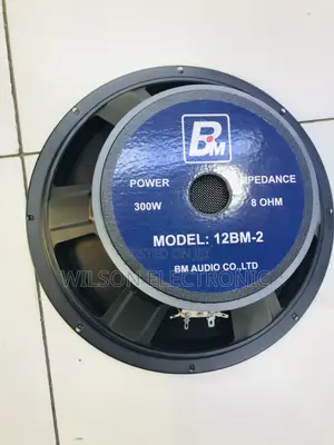 Bm Speaker 12 Inches
