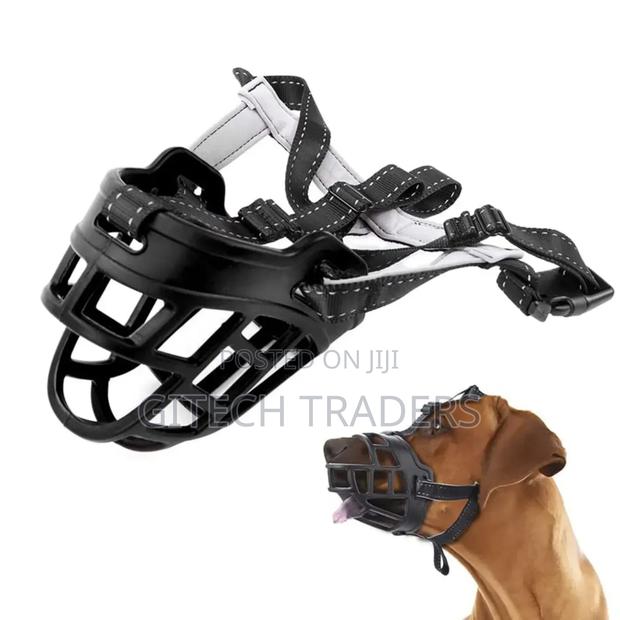 Dogs Muzzle