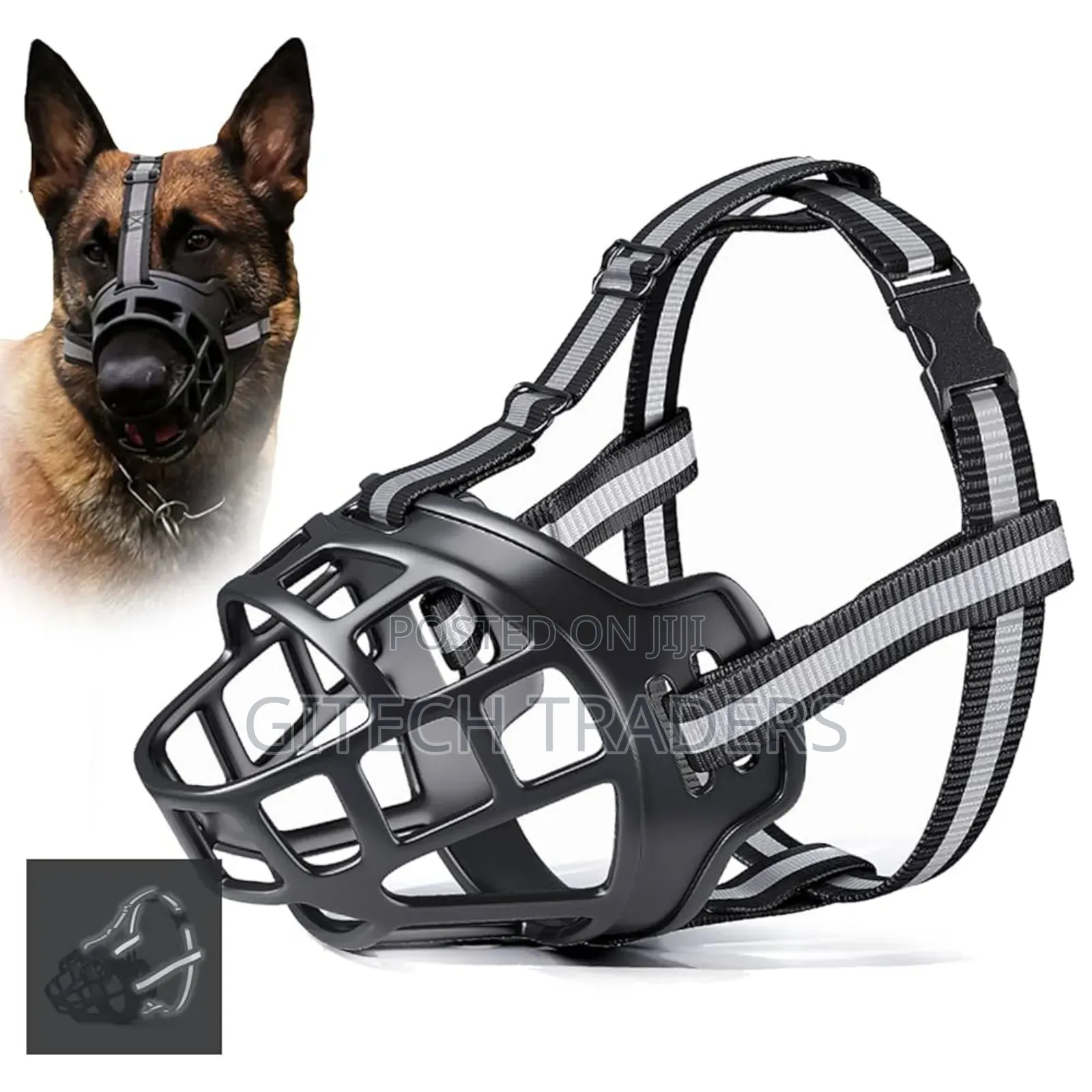 Dogs Muzzle