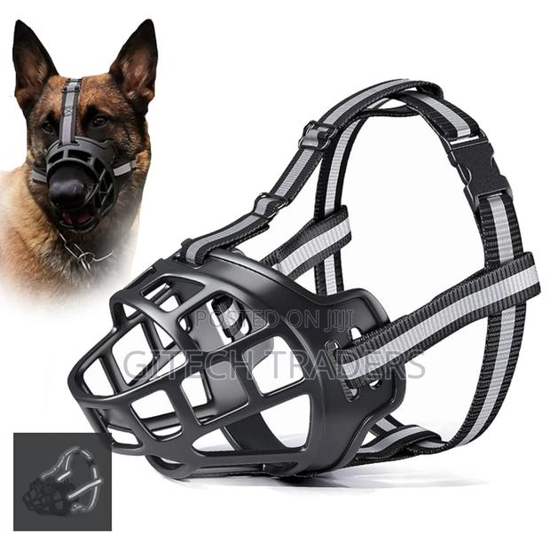Dogs Muzzle - thumbnail 2