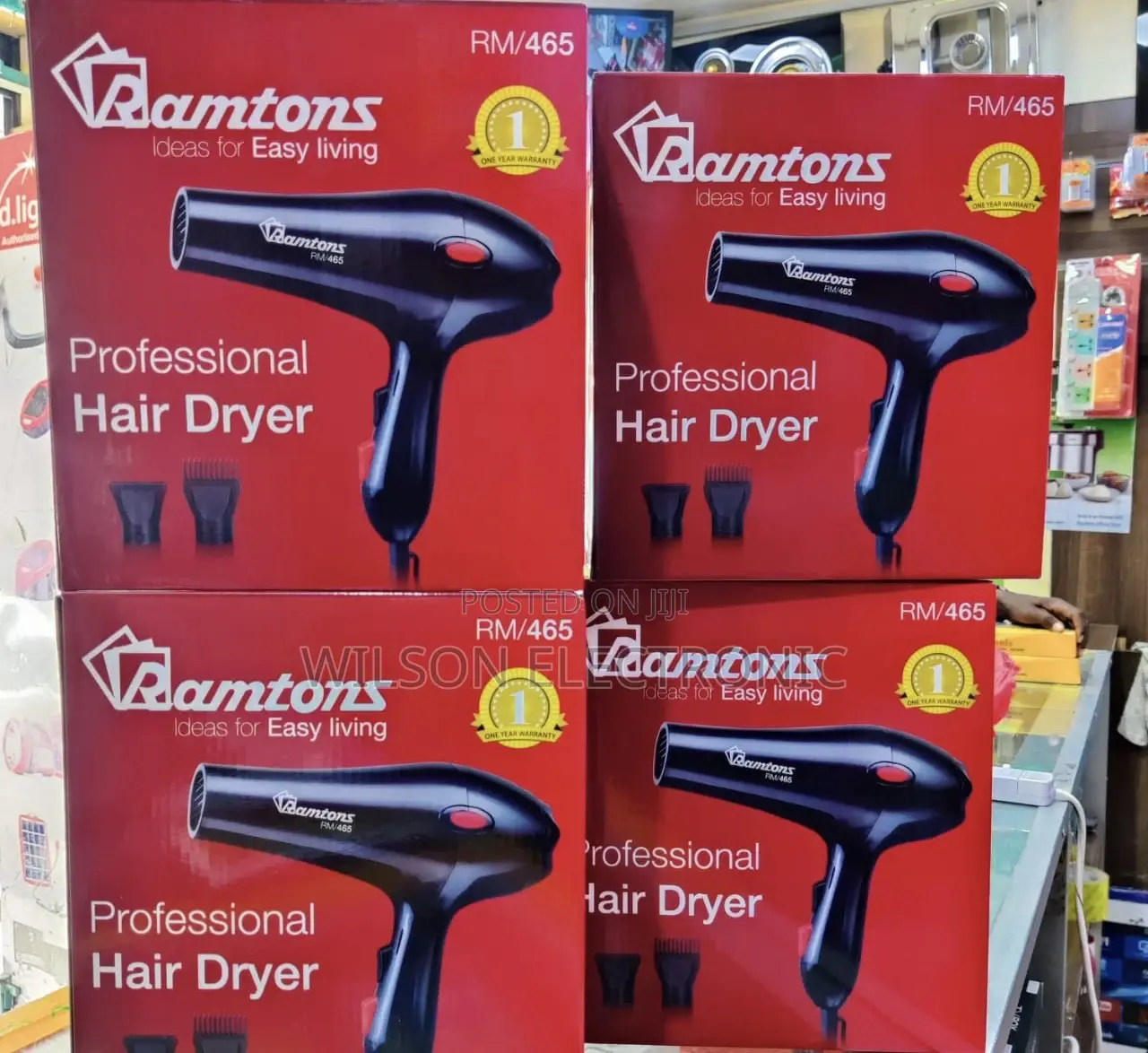 Ramton Professional Hair Blower.