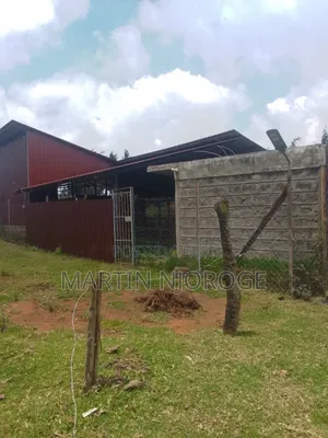 Modern Cow Shed/ Farm Uplands