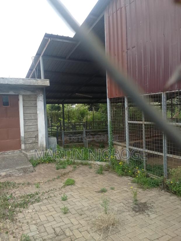 Modern Cow Shed/ Farm Uplands - thumbnail 6