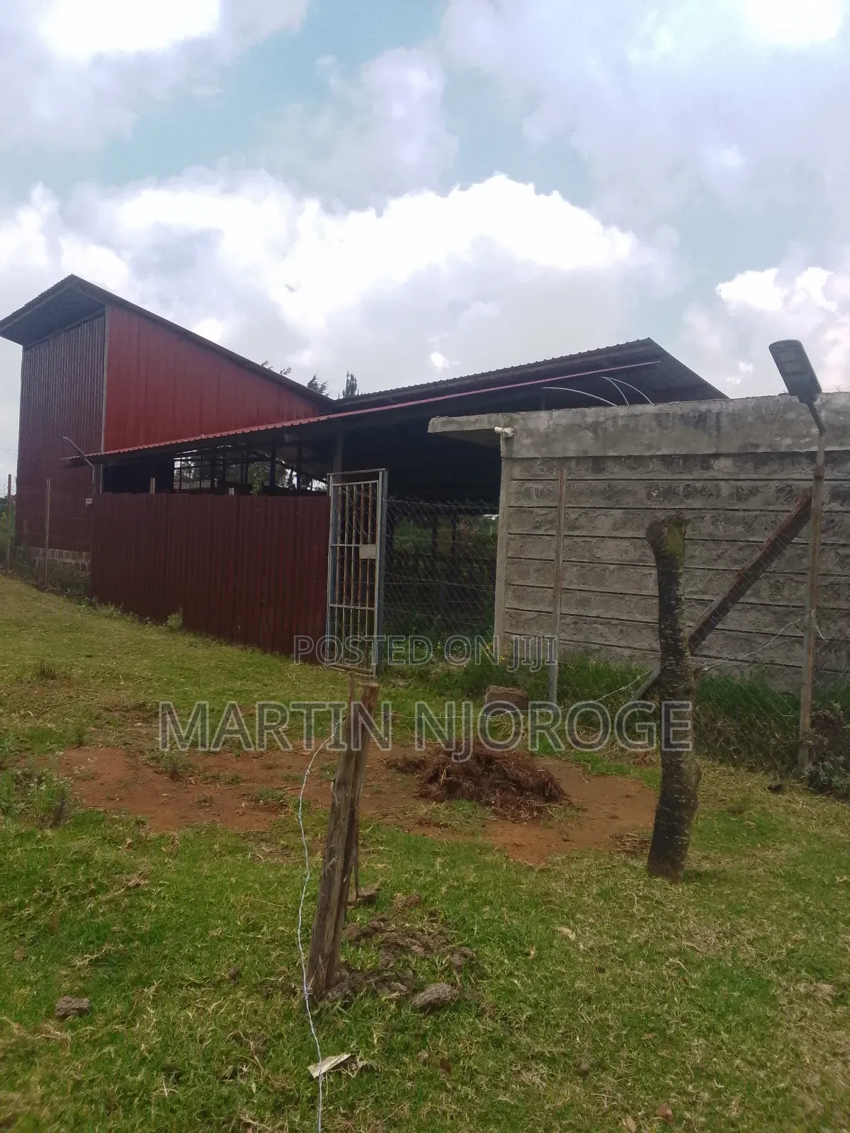 Modern Cow Shed/ Farm Uplands