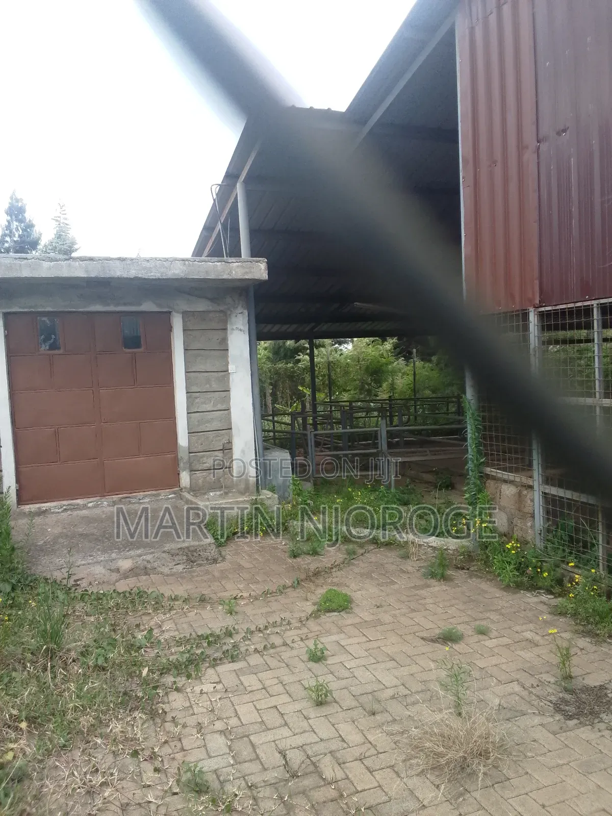 Modern Cow Shed/ Farm Uplands